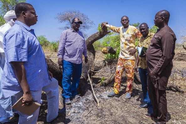 Défrichement des champs au Tchad, lever l’ambiguïté